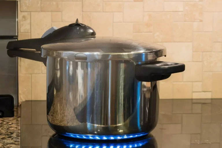 Panela de Pressão